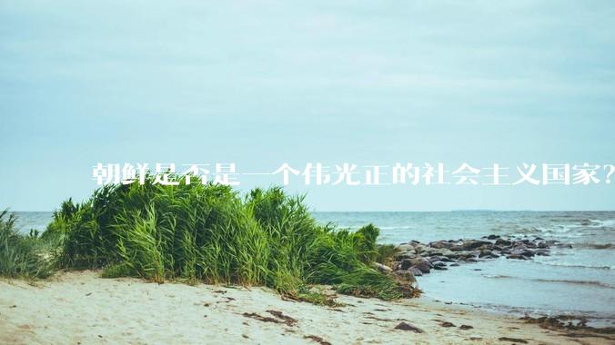 朝鲜是否是一个伟光正的社会主义国家？