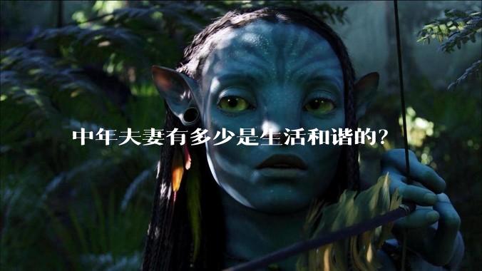 中年夫妻有多少是生活和谐的？