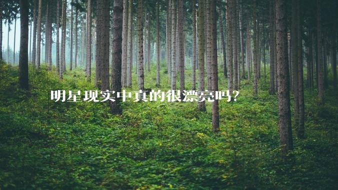 明星现实中真的很漂亮吗？