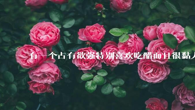 有一个占有欲强特别喜欢吃醋而且很黏人的男朋友是什么体验?