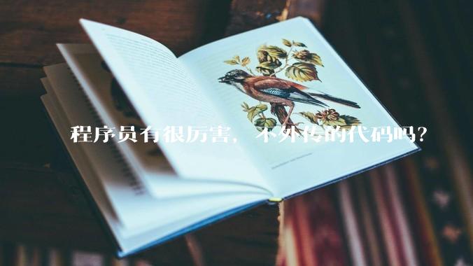 程序员有很厉害，不外传的代码吗？