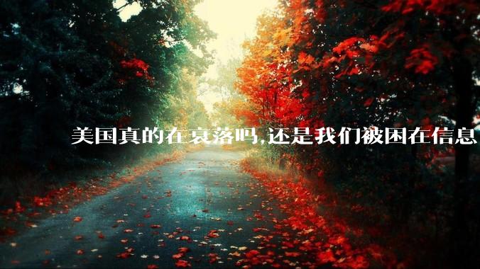 美国真的在衰落吗,还是我们被困在信息茧房?