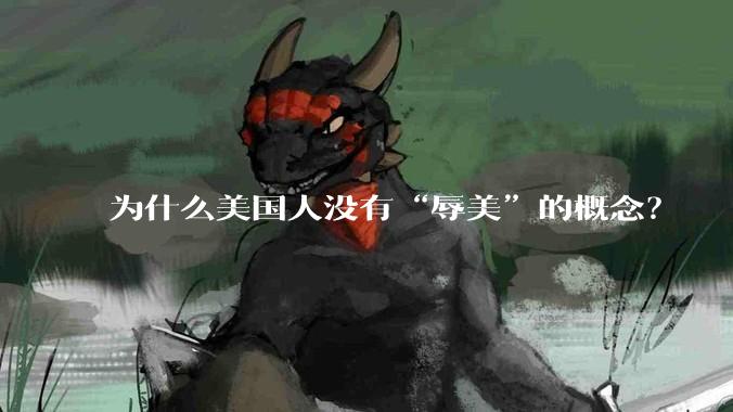 为什么美国人没有“辱美”的概念？