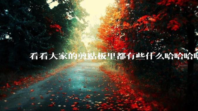 看看大家的剪贴板里都有些什么哈哈哈哈哈?