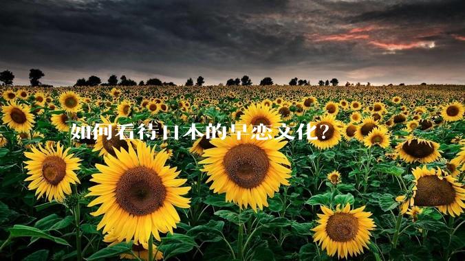 如何看待日本的早恋文化？