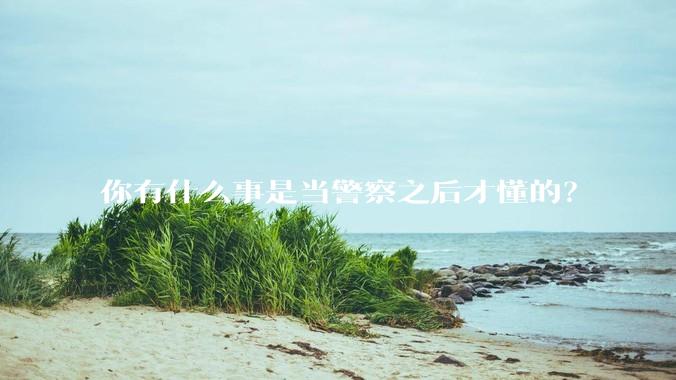 你有什么事是当警察之后才懂的？