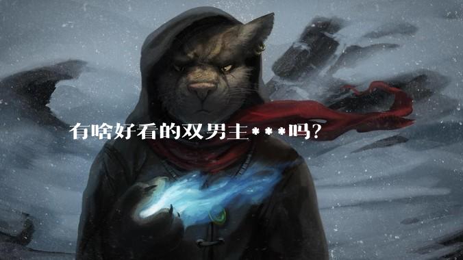 有啥好看的双男主***吗？